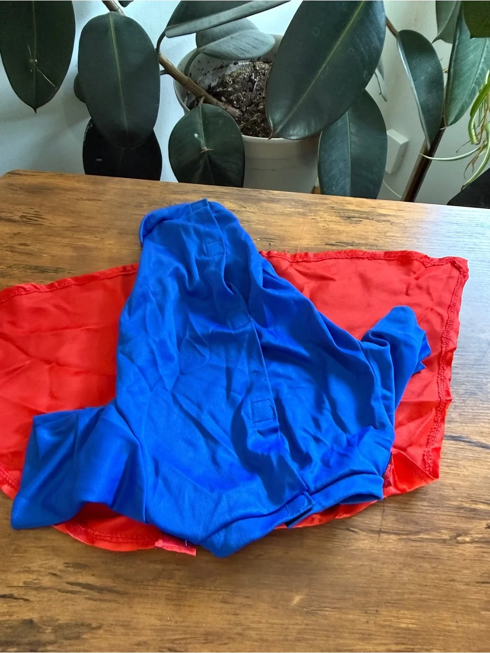 Small dog pet Superman Halloween costume